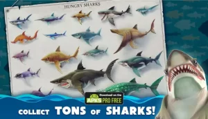 Hungry Shark World MOD Apk 4.4.2(Unlimited Money and Diamond) Download 2023 3