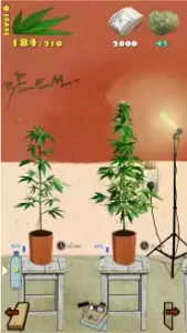 Weed Firm MOD APK 1.7.43 (Unlimited Money, Max Level) Download 2022 2